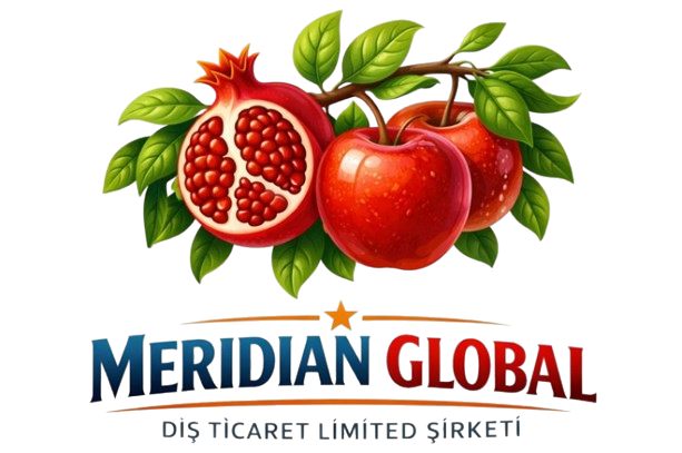MERİDİAN BLOBAL DIŞ TİCARET LİMİTED ŞİRKETİ